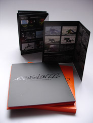 Evangelion2.22-digipak-ext